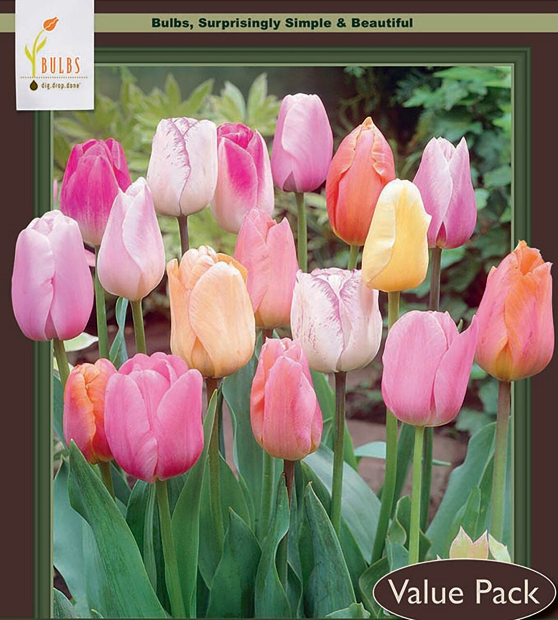 Easter Joy Mix Tulip 18 Bulbs - Soft Pastel Hues - 12/+ cm Bulbs - Value Size